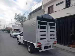 Proyecto destacado 6